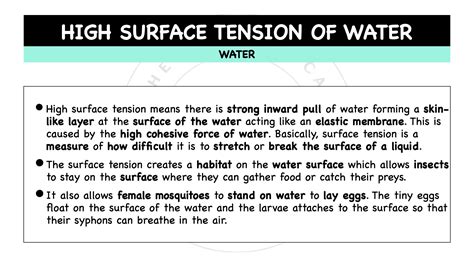 Chemical & Physical Properties Of Water – The Theoretical Doctor