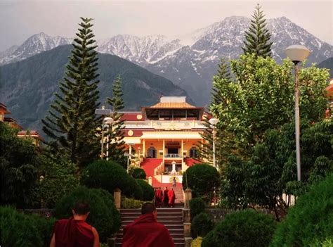 Best Time To Visit Dharamshala At Its Finest Bestcheck