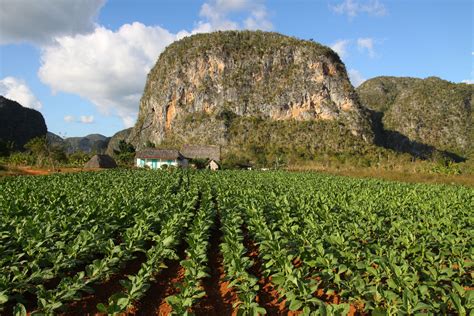 5 Reasons to Visit Viñales on Your Next Trip to Cuba - The Points Guy