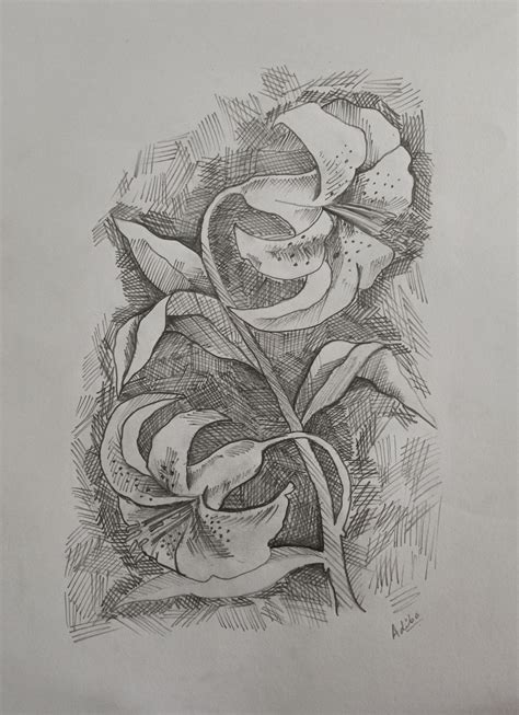 Hatching art of flowers | Sketches, Art inspiration drawing, Hatch drawing