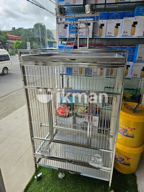 Bird Cage For Sale In Mount Lavinia Ikman