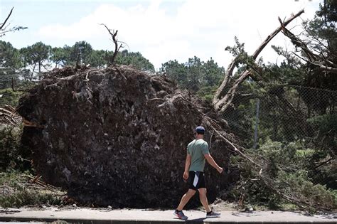 Cyclone Gabrielle Leaves Devastation In New Zealand With At Least Four