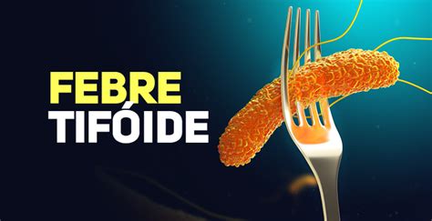 Febre Tifóide DIVE