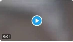 The Unexpected Consequences of the Taliyah and Gustavo Leak - dy9prfq