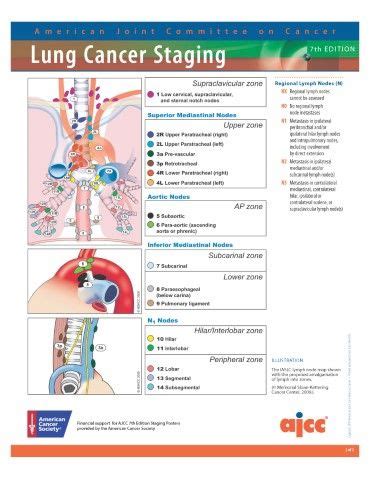 Ajcc Breast Cancer Staging 8th Edition Poster CancerWalls