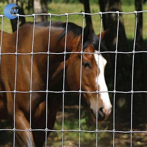 High Tensile Farm Field Cattle Galvanized Filed Farm Fence Joint