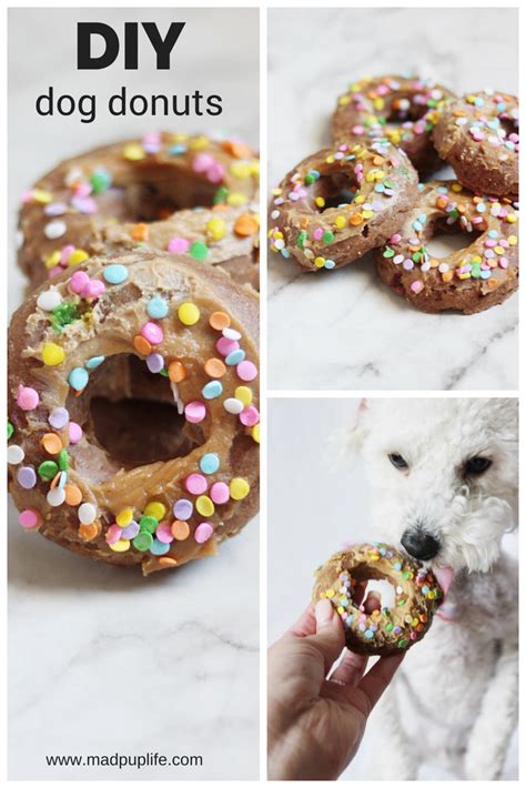 Diy Dog Donuts National Donut Day Dog Food Recipes Dog Biscuit