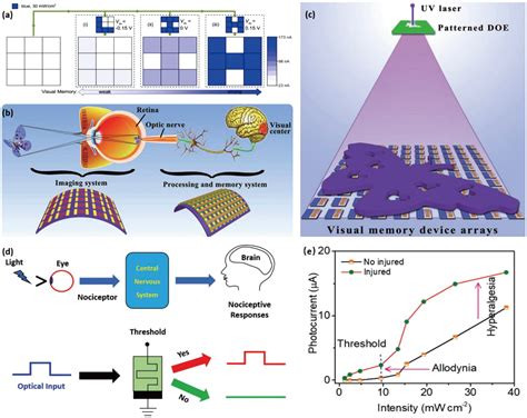 Optoelectronic Memristor For Neuromorphic Computing