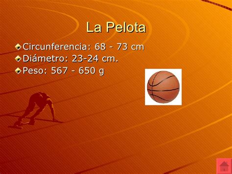 Descubrir 86 Imagen Diapositivas Del Basquetbol Abzlocal Mx