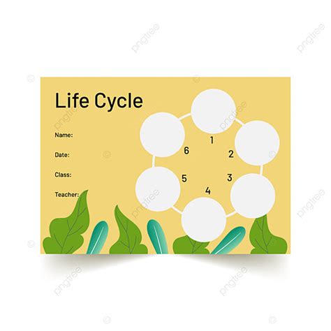 Yellow Illustration Life Cycle Graphic Organizer Template Download On Pngtree