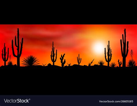 Mexican Desert Sunset Cacti Royalty Free Vector Image