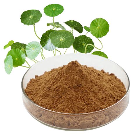 Centella Asiatica Extract Gotu Kola Extract Powder Asiaticoside