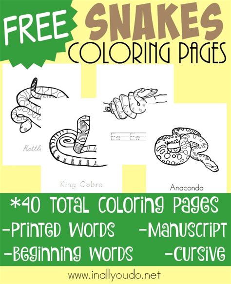 Printables To Help Your Kids Learn About Reptiles Homeschool Giveaways