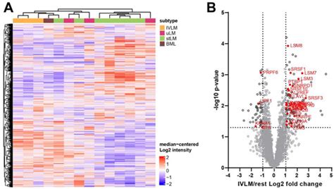 Cancers Free Full Text Proteomic Profiling Identifies Co Regulated