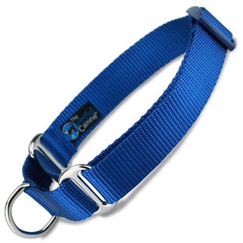 Martingale Collar with Buckle, Blue Nylon slip dog collar