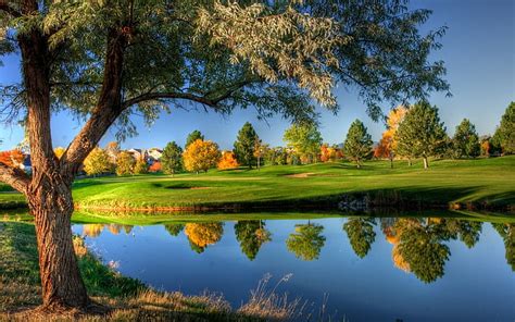 HD Wallpaper Green Leafy Tree Beside Body Of Water Lake Landscape