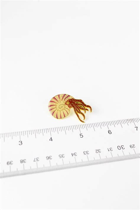 Ammonite Pin Space Camp