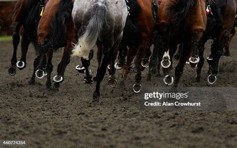 Horse Hoof Tracks Photos and Premium High Res Pictures - Getty Images