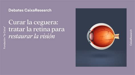 Curar la ceguera tratar la retina para restaurar la visión Video