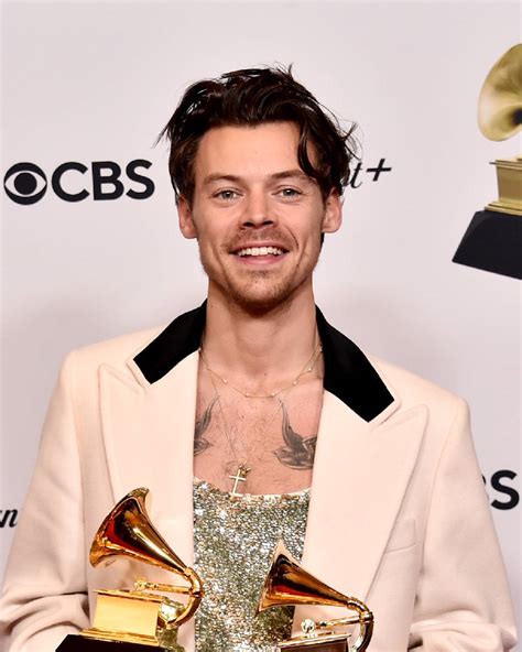 Harry Styles Lancia Sul Mercato Dei Sex Toys