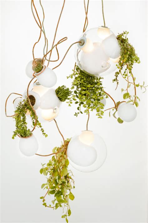 Potted Plant Society | Sharing the Joy and Knowledge of Growing Potted ...