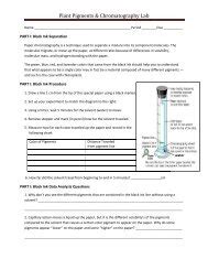 Chromatography Lab with Plant Pigments