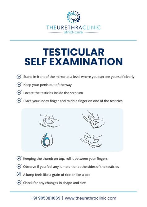 Testicular Self Examination A Step By Step Guide