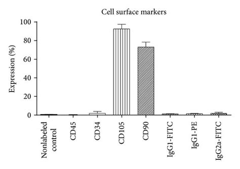 Characterization Of Af Mscs A Representative Image Of Spindle Shaped Download Scientific