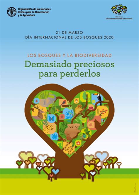 De Marzo D A Internacional De Los Bosques Nuestroclima