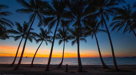 Visit Palm Cove Beach in Cairns | Expedia