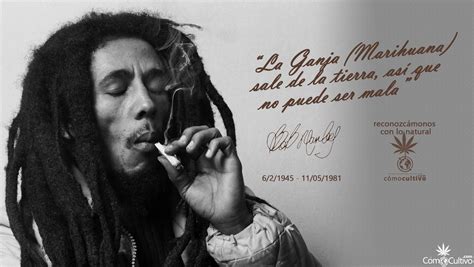 Cultiva El Alma Con Estas 71 Frases De Bob Marley ComoCultivo