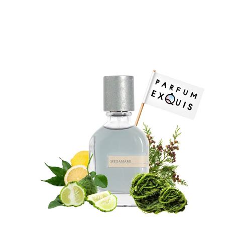 Megamare en 2024 | Parfum, Vague déferlante, Bruit des vagues