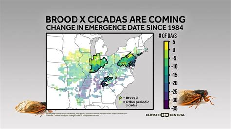 Cicadas 2021 - This Map Shows Where Periodic Cicadas Will Emerge In ...