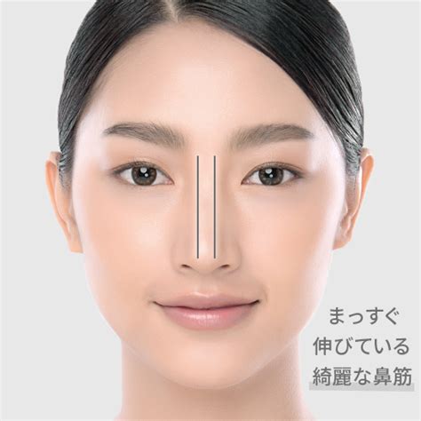 【理想の鼻の形をご紹介】コンプレックスを隠す方法も解説 │ ジョウクリニック美容ナビ