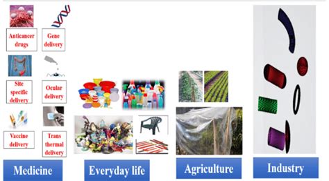 Application of biodegradable polymers in different fields of life,... | Download Scientific Diagram