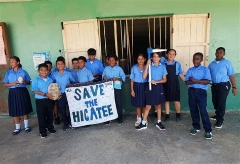 Hicatee Awareness Month Outreach Programs Belize Foundation For