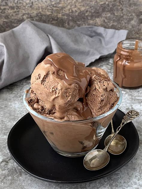 Easy Vegan Chocolate Ice Cream Recipe Savory Spin