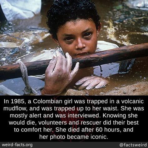 Mind Blowing Facts Photo History Facts Interesting Weird Facts Cool Science Facts