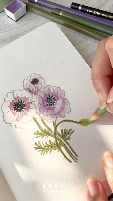 4 Simple Steps To Unleash The Beauty Of The Underwater World: How To Draw An Eye-Catching Anemone