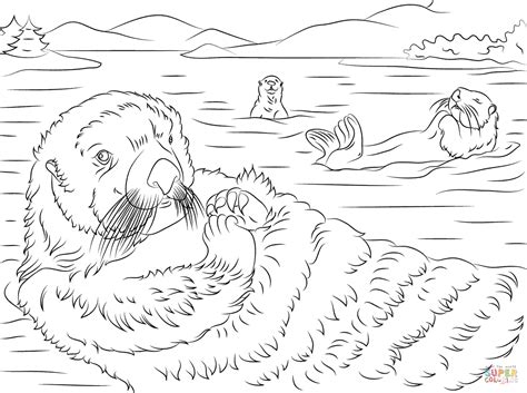 Sea otter coloring pages