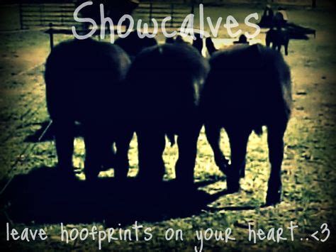 89 Best Livestock motivational quotes images | Show cattle, Livestock ...