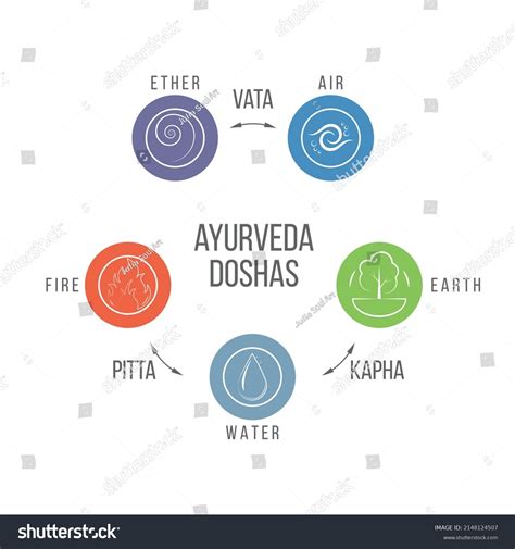 ayurveda doshas diagram pitta kapha vata stock vector royalty