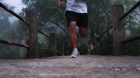 Mais de 100 vídeos grátis em HD e 4K de Gay Homens e Homens Pixabay