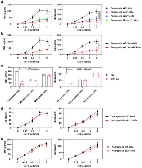 Dcn Mediates Inflammation Caused By Ferroptotic Cells A Ferroptotic