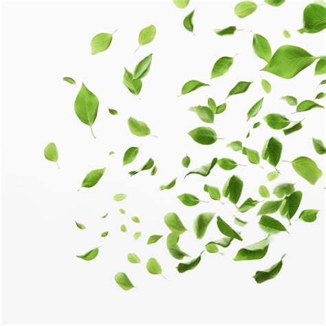 Araffe Leaves Flying In The Air On A White Background Generative Ai