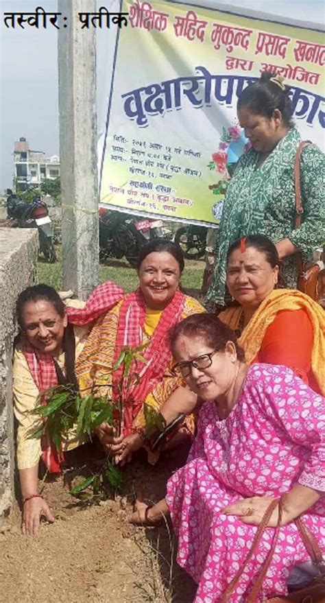 शैक्षिक सहिद खनालको स्मृतीमा वृक्षारोपण प्रतीक दैनिक Prateek Daily