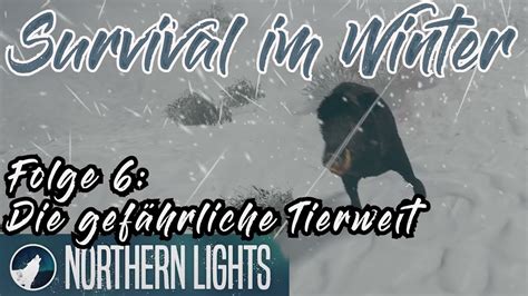 Northern Lights Let s Play 6 Es gibt hier gefährliche Tiere