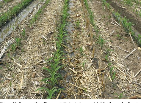 Figure From Guidelines For Using Conservation Tillage Under Furrow