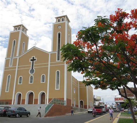 Fotos De Pau Dos Ferros Imagens E Fotografias