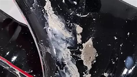 Mudboot S Porn Videos And Reels Nude Photos And Bio On XHamster